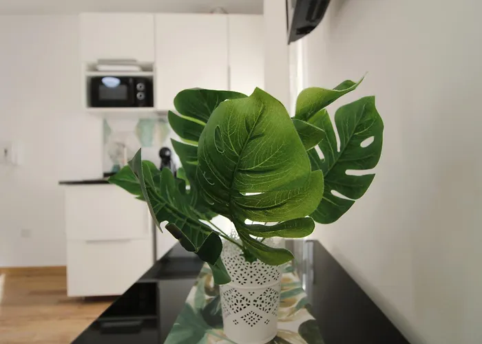 Casa Oasis By Cosycasa Apartment