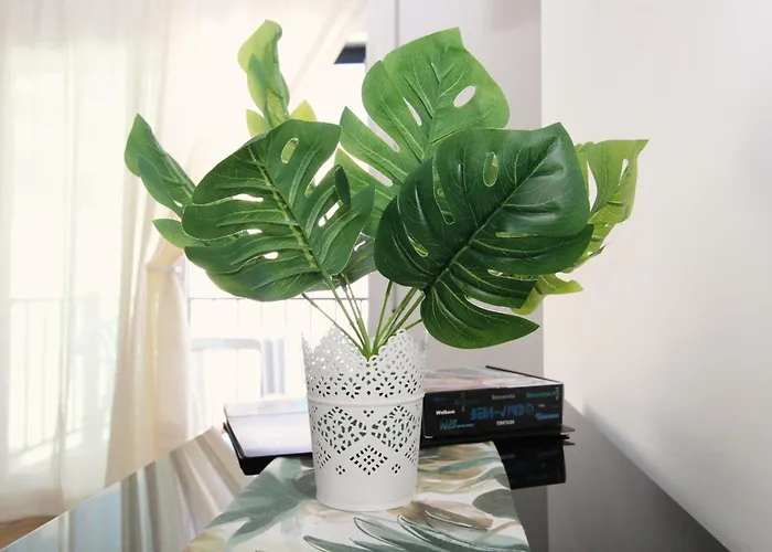 Casa Oasis By Cosycasa